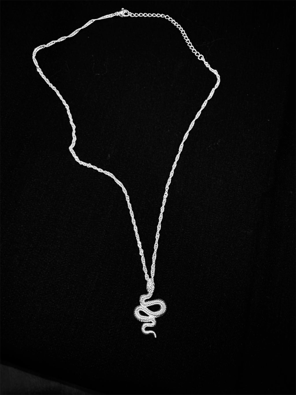 Snake Pendant & Chain