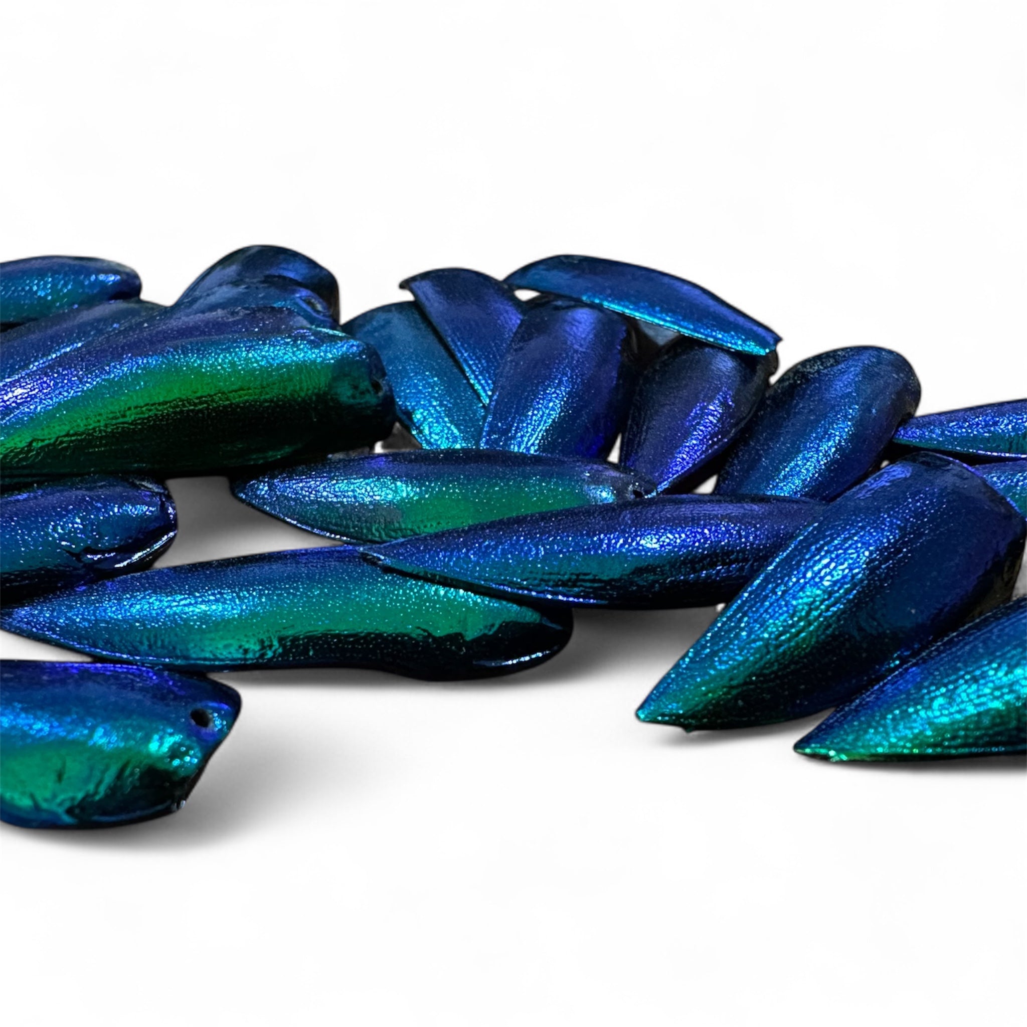 Jewel Beetle Earrings