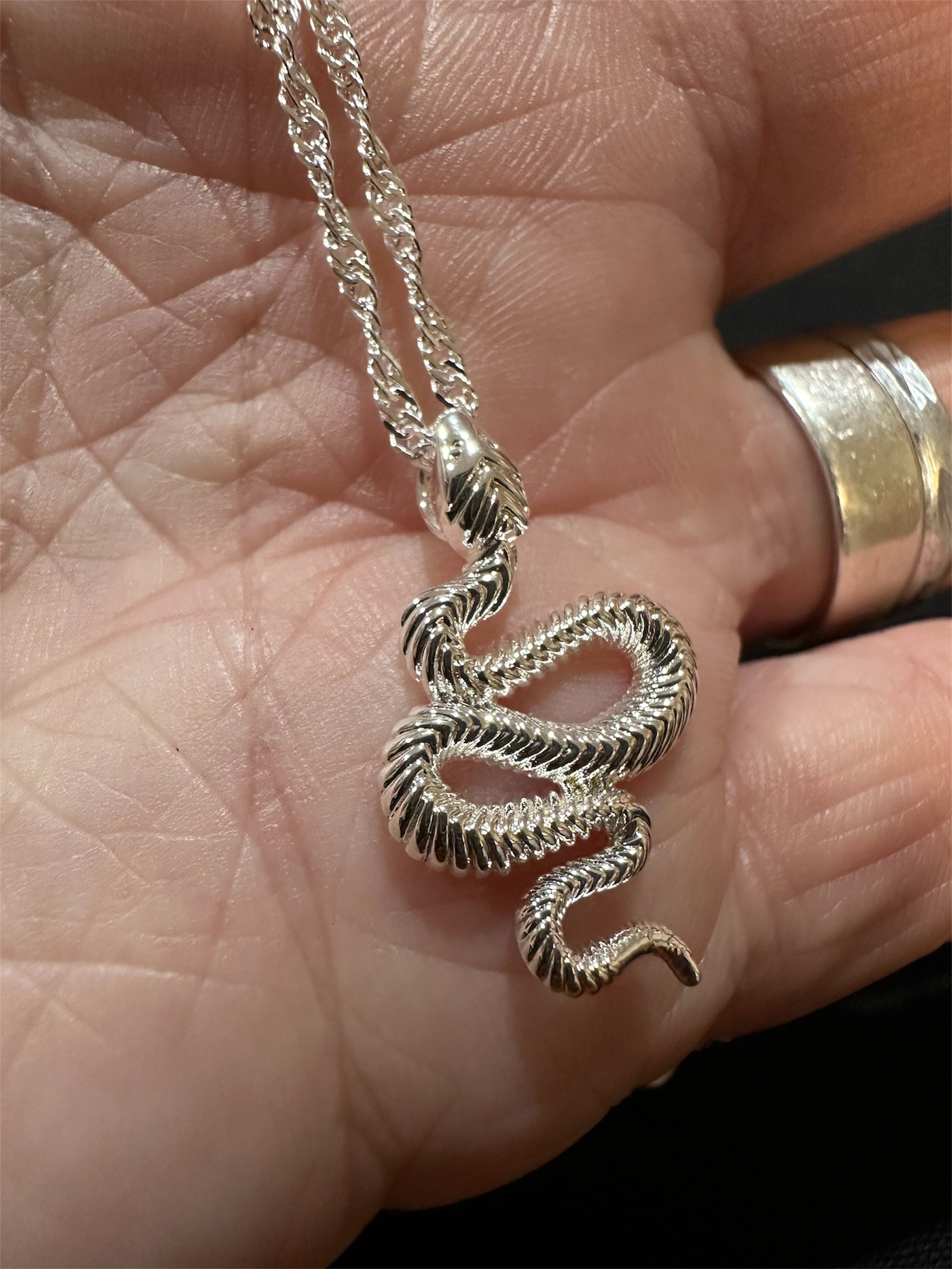 Snake Pendant & Chain