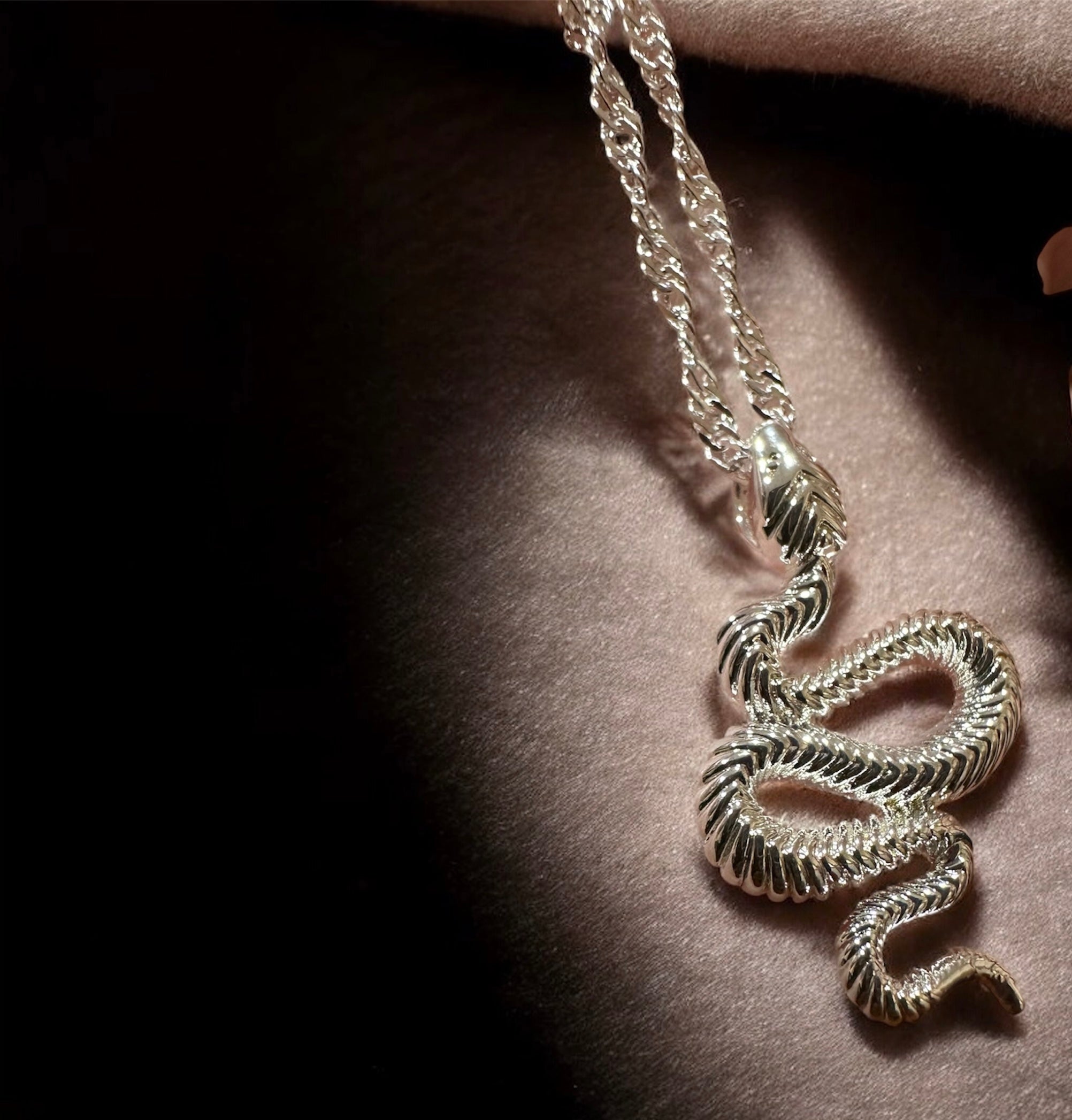 Snake Pendant & Chain
